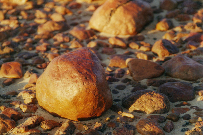 Gibber in Sturts Stony Desert